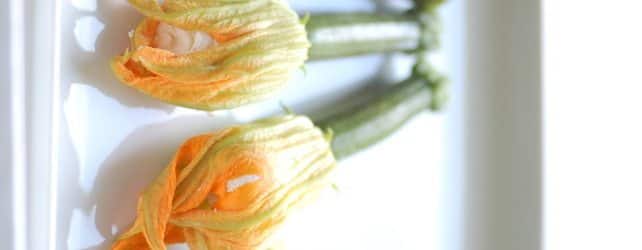 10 Foods You Should Try At Least Once 10 Foods You Should Try At Least Once