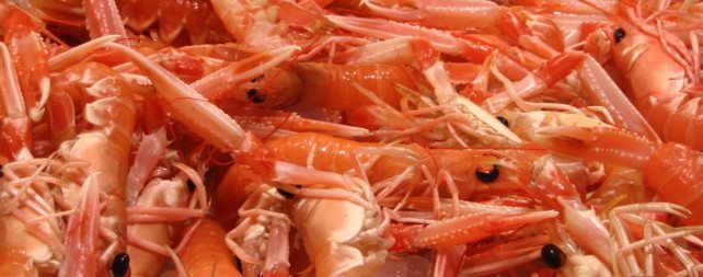 10 Foods You Should Try At Least Once 10 Foods You Should Try At Least Once