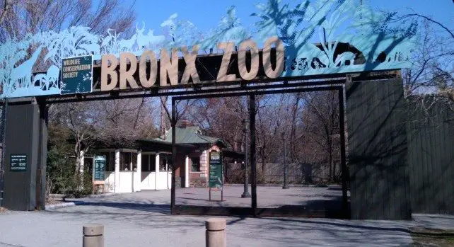 Top 7 Of The Largest Zoos In The World