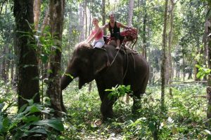 The Best Wildlife Experiences To Enjoy When Visiting Thailand