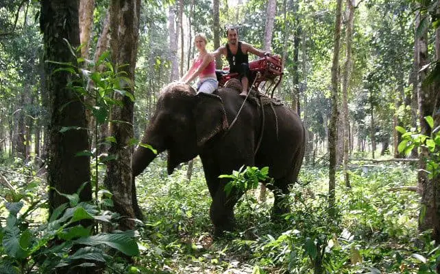 The Best Wildlife Experiences To Enjoy When Visiting Thailand