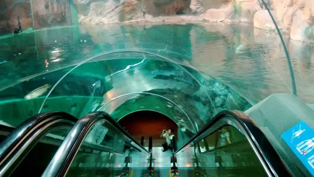 Top 10 Largest Aquariums In The World