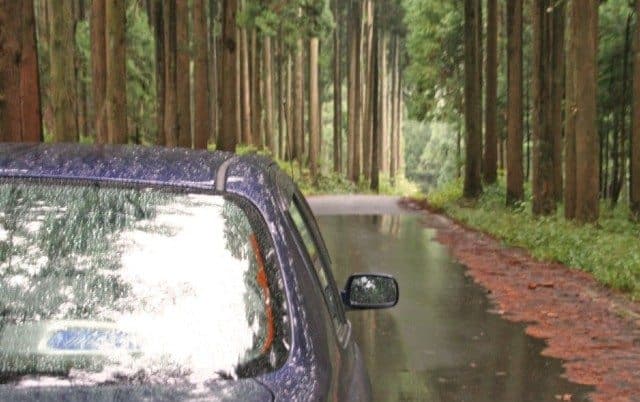5 Most Common Causes Of Car Accidents To Avoid 5 Most Common Causes Of Car Accidents To Avoid
