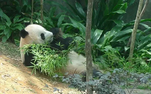 The Best Nature & Wildlife Attractions In Singapore The Best Nature & Wildlife Attractions In Singapore