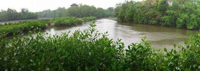 The Best Nature & Wildlife Attractions In Singapore The Best Nature & Wildlife Attractions In Singapore