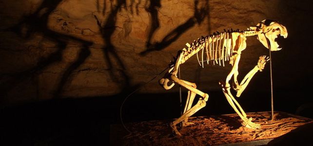 Must-visit Unesco World Heritage Sites In Australia Must-visit Unesco World Heritage Sites In Australia