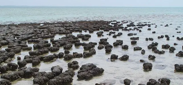 Must-visit Unesco World Heritage Sites In Australia Must-visit Unesco World Heritage Sites In Australia