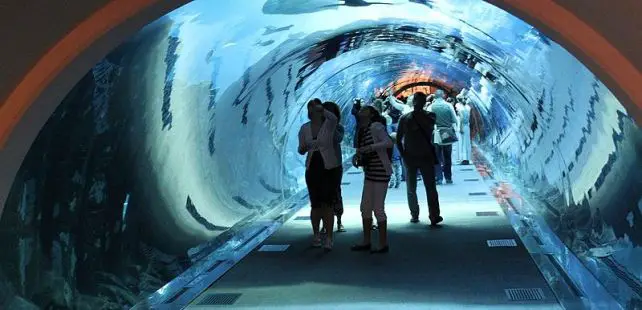 Top 10 Largest Aquariums In The World