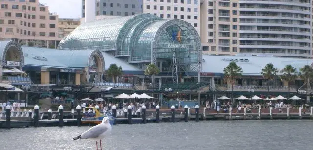 Top Attractions For The Kids To Enjoy In Sydney Top Attractions For The Kids To Enjoy In Sydney