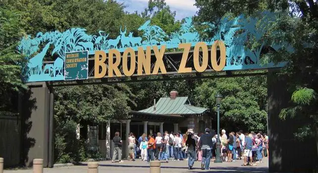 The Top 10 Largest Zoos Worldwide