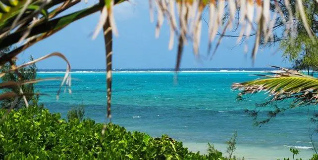 The World’s Top 10 Best Dive Sites The World’s Top 10 Best Dive Sites