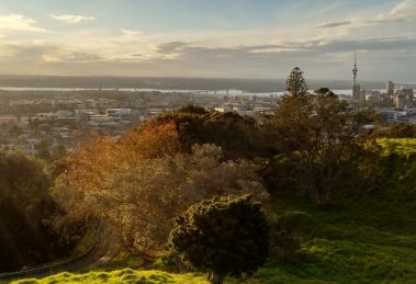 How To Get The Most Out Of 24 Hours In Auckland